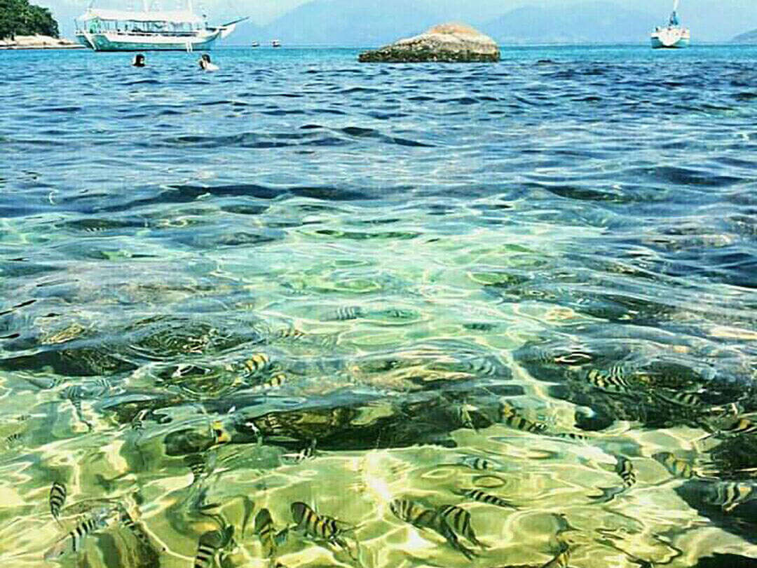 Ilha da Maranduba Ubatuba